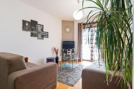 Apartmani Jelena Omiš Dış mekan fotoğraf